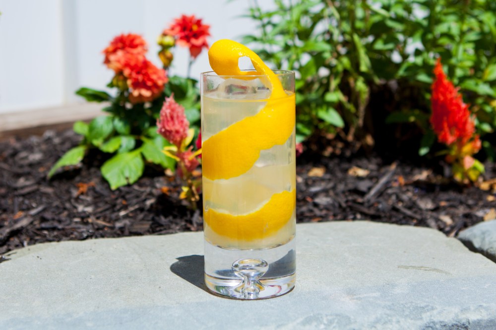 160625_shakerandspoon_a205