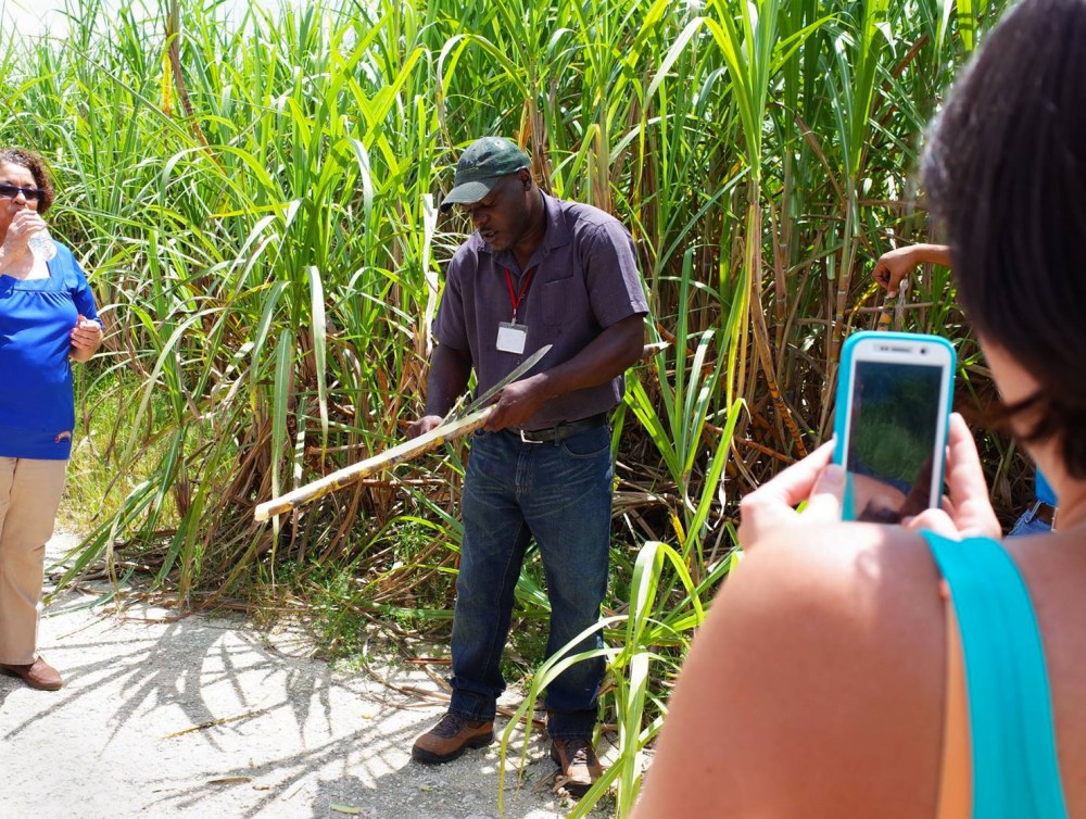 13988002_10207297382616461_3449682832972939043_o copy